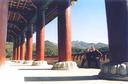Although not all temples are as immense physically as Tonghwasa (pictured), this brand-new temple is a big indication of the big business that Buddhism really is in Korea.  If the size of this temple was not enough to demonstrate Buddhisms financial prosperity, the 4 monks that pulled up in a jet black, 2001 BMW as we left the temple definitely were.  There is no doubt that these are auspicious years for Buddhism in Korea.